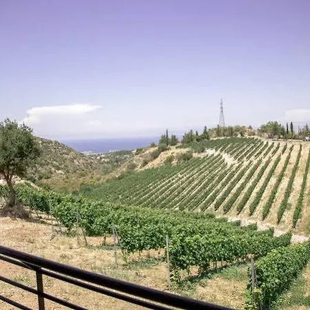 酒店 Gillham Vineyard *