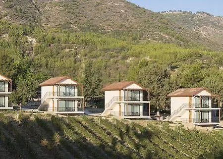 Otel Gillham Vineyard *